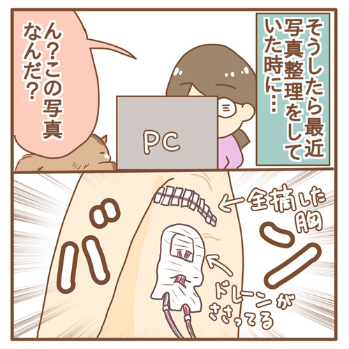 export