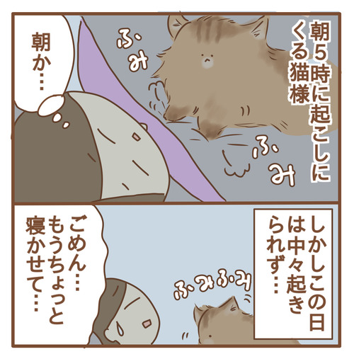 朝、調子に乗ったら猫に怒られた話