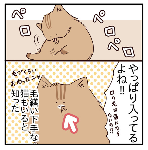 export