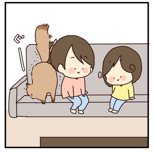 export