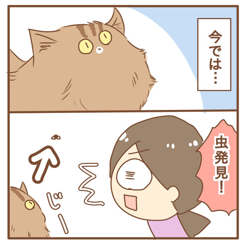 export