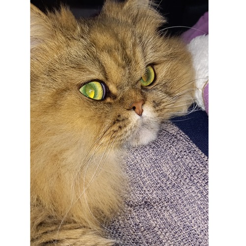 Picsart_23-07-06_19-16-02-888