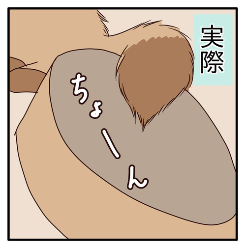 export
