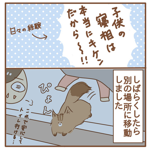 export