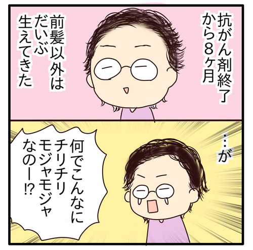 export