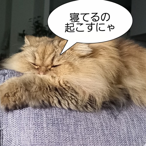 Picsart_23-12-24_09-12-48-111