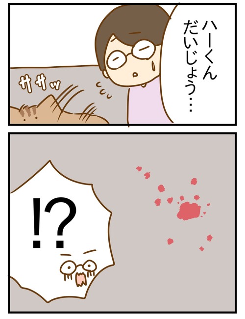 1000022721