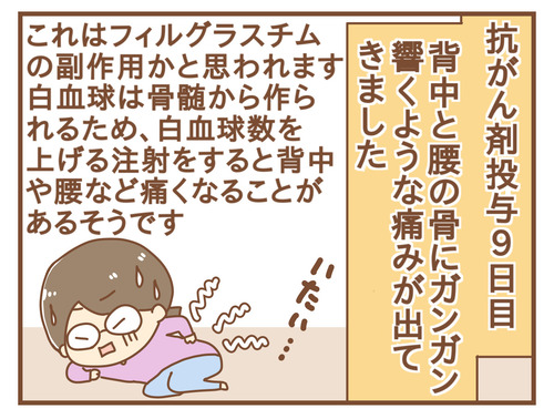 export