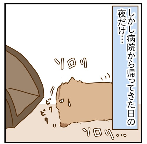 1000021156