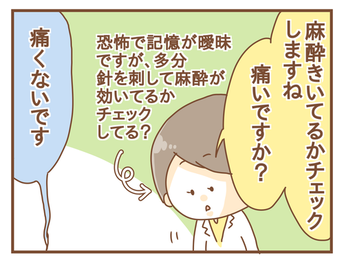 export