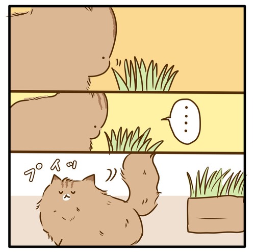 1000020700