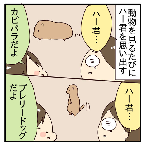 export