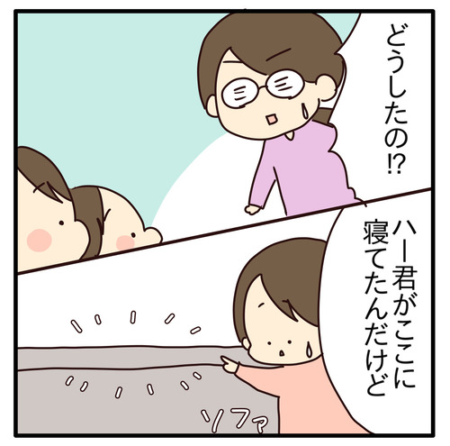 export