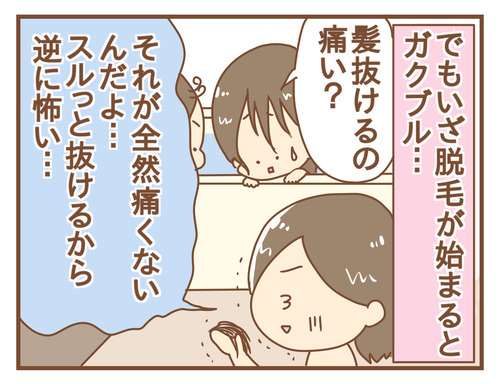 export