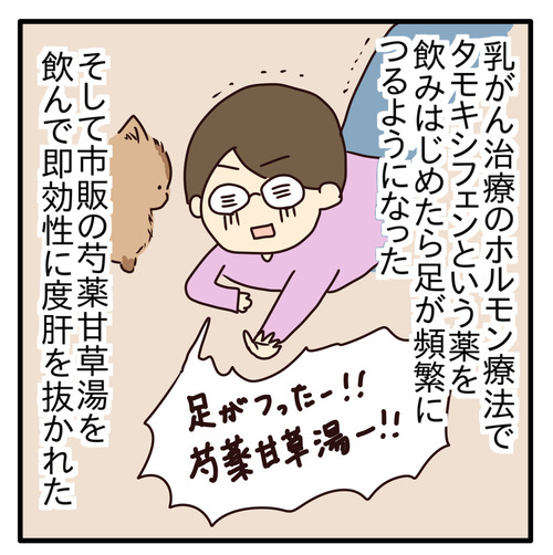 主治医に相談した時に”要望”まで言えばよかったと後悔した話【乳がん術後の話39】