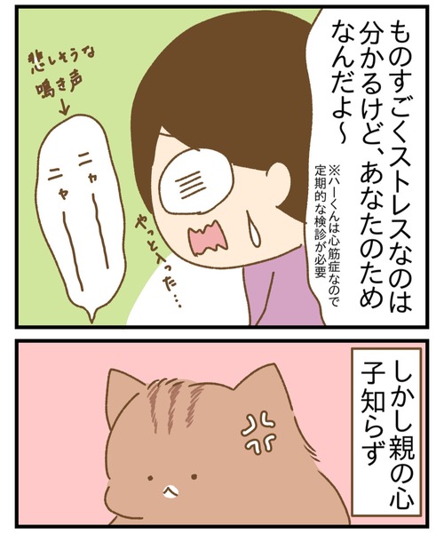 1000004153