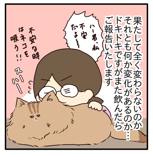 export