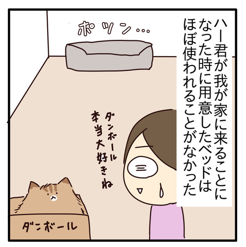 全然使ってくれなかった猫ベッドに◯◯したら使ってくれるようになった話