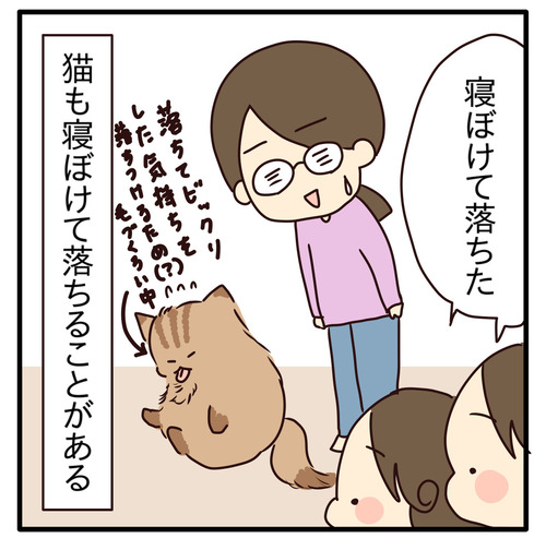 export