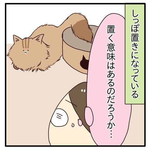 export