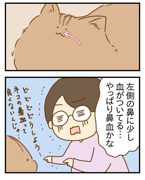 1000022821