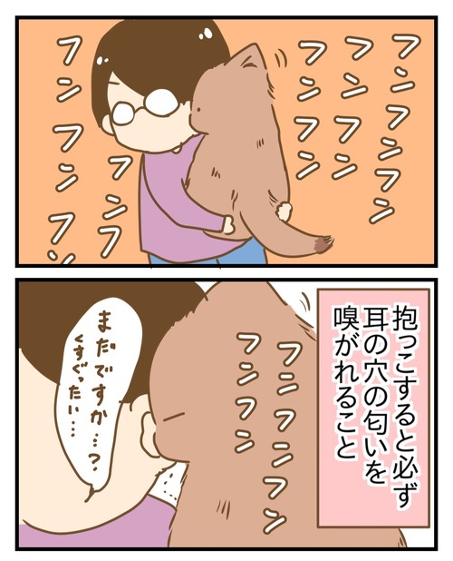 1000004636
