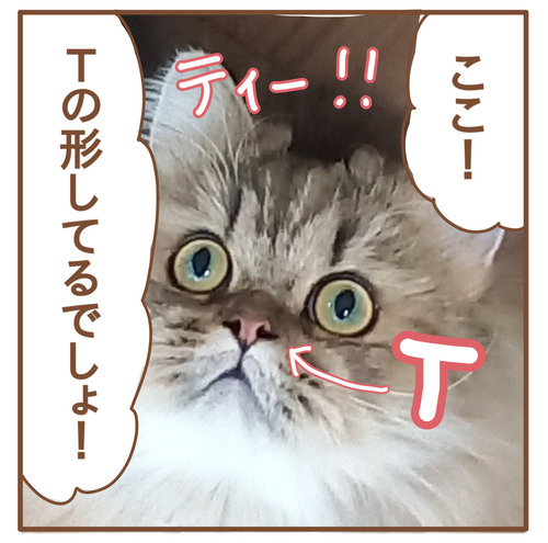 export