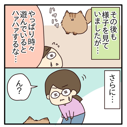 export