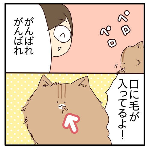 export