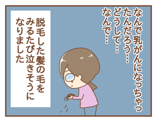 【抗がん剤副作用:脱毛】坊主になるまでの話②