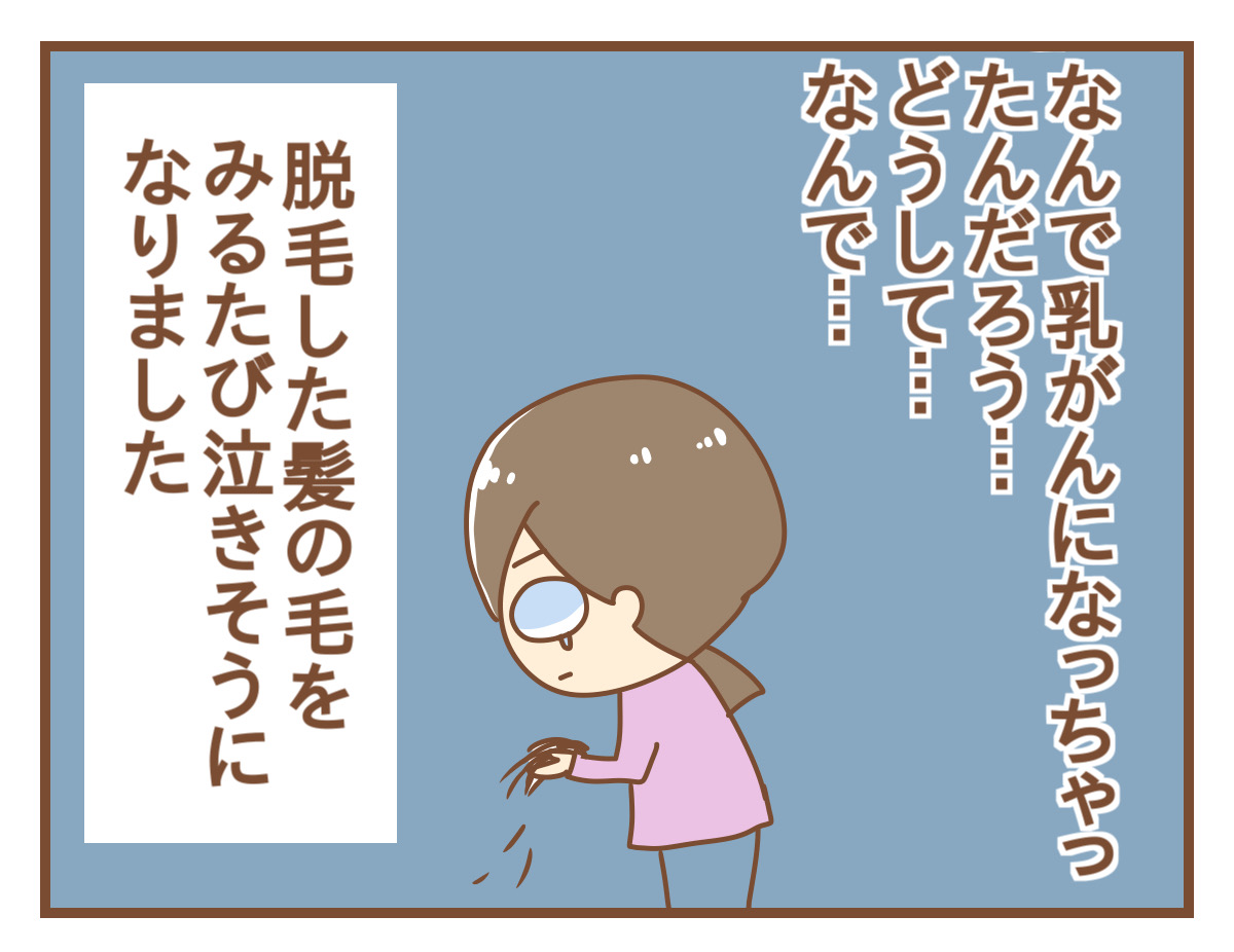 抗がん剤副作用 脱毛 坊主になるまでの話 ひよっこ一家備忘録 Powered By ライブドアブログ