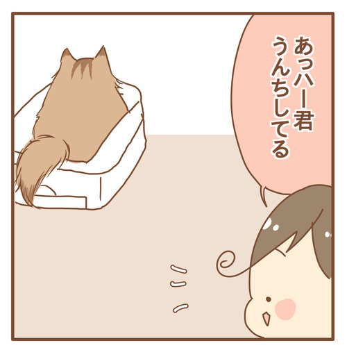 トイレの使い分けをしっかりするニャンコ