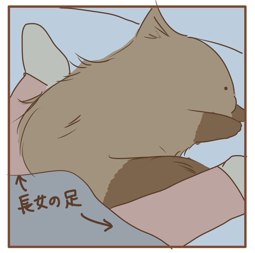 export