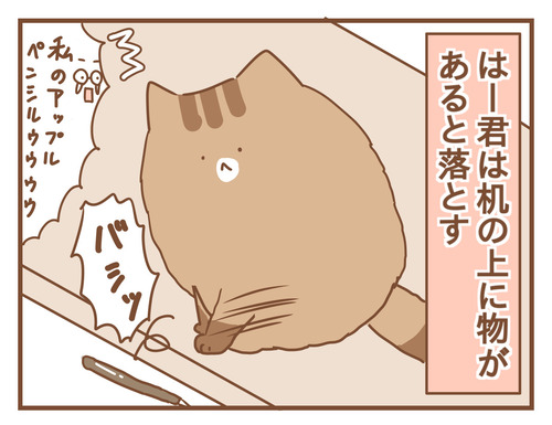 朝のちょっと困った猫の日課