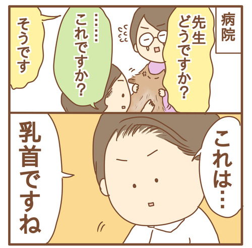 export