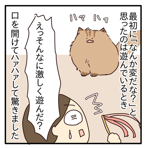 export
