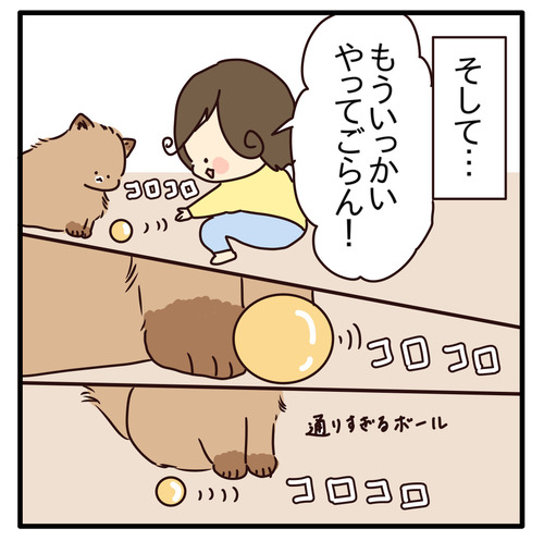 export
