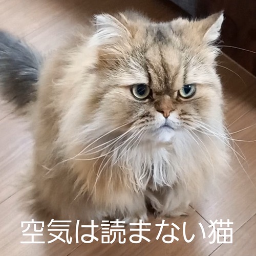 Picsart_23-07-17_16-38-10-900