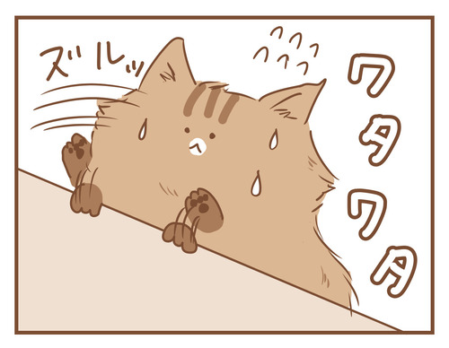 export