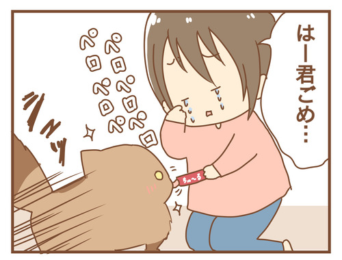export