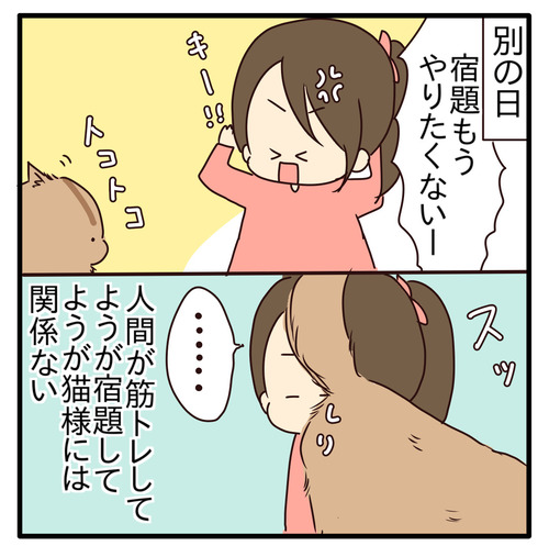 export