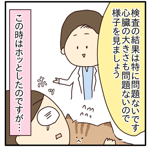 export
