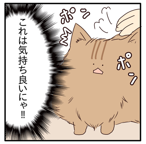 export