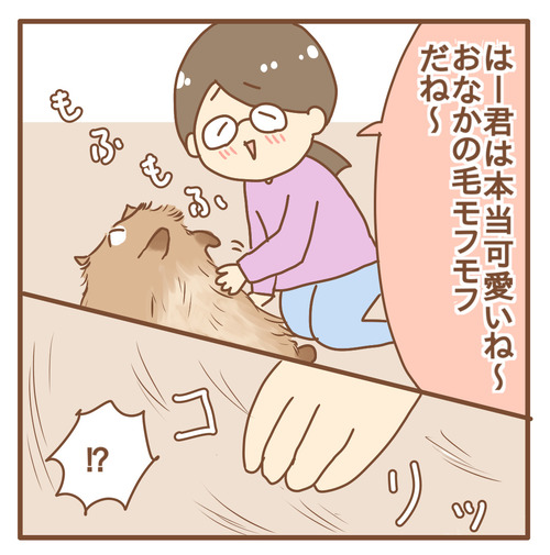 export