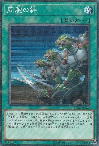 ストラクチャーデッキ 神光の波動購入 個人的な注目カード 三十路だけど遊戯王