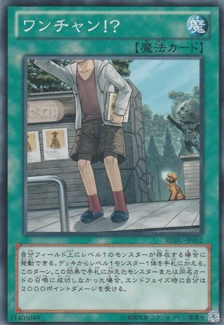 レベル1デッキ使用者によるLLサポート検討 「LL(リリカル