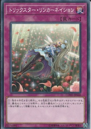 デッキレシピ集 三十路だけど遊戯王 デッキレシピ集 三十路だけど遊戯王