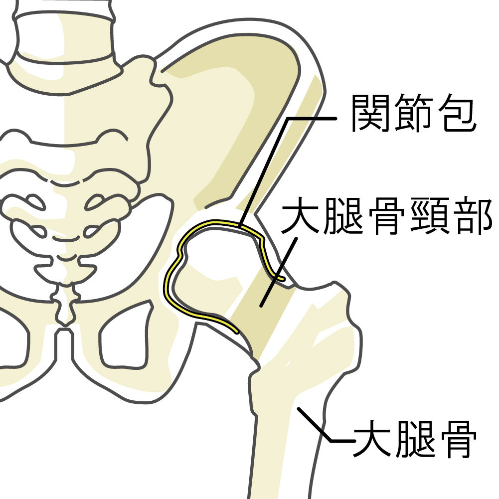 腰痛 口コミ ゆら ころん