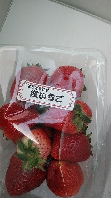 イメージ 4