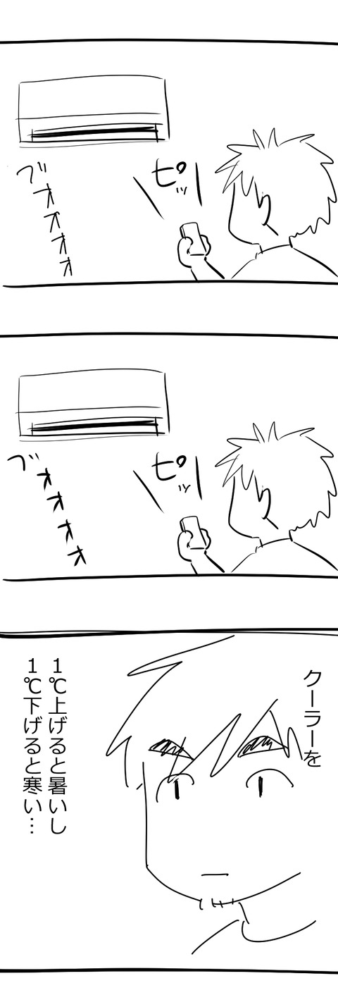shewf